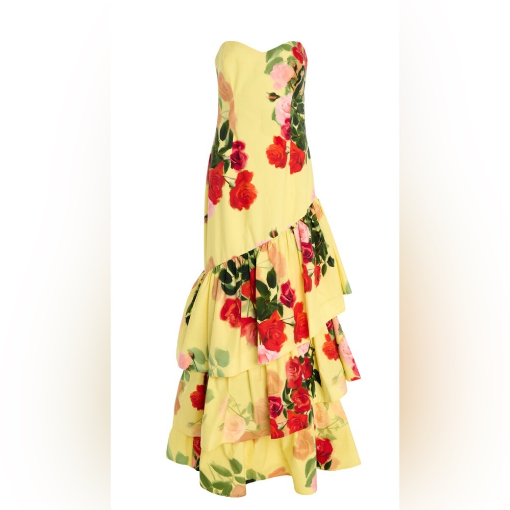 Cara Cara Strapless Floral Maxi Dress